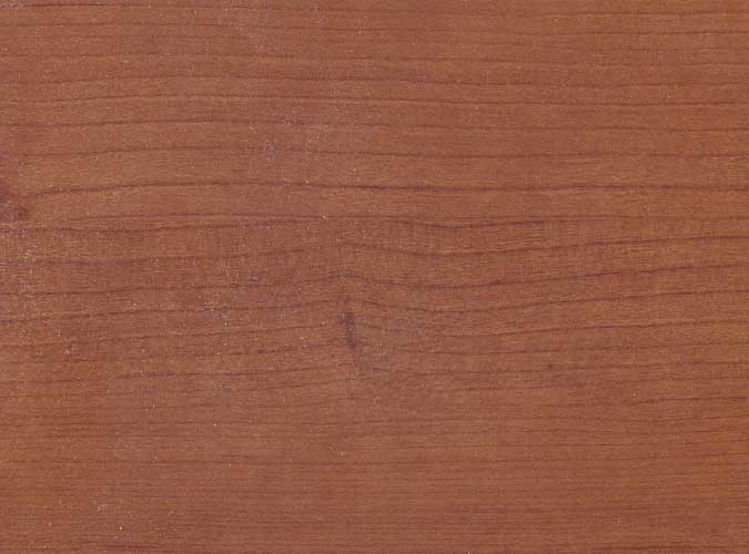 πόρτα ασφαλείας